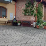 Pod Pálavou Habitación en casa particular Horni Vestonice