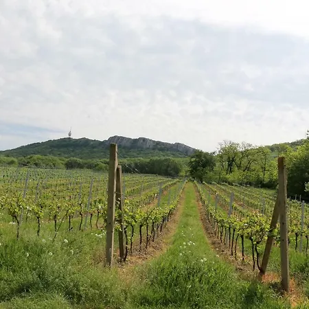 Pod Palavou Accommodatie bij particulieren *