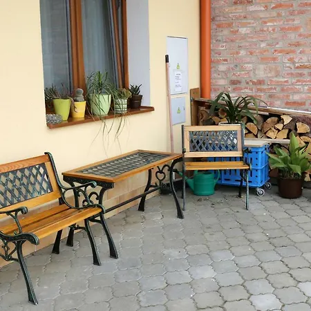 Pod Palavou Homestay *