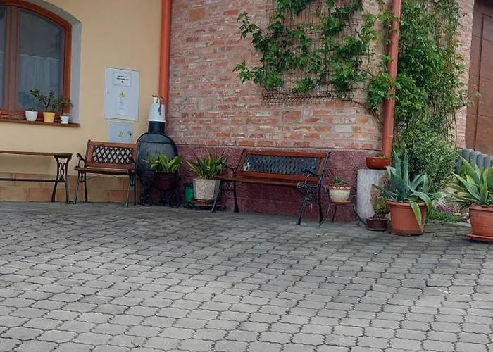 Pod Palavou Homestay szállás Horní Věstonice