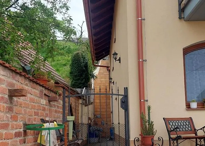 Pod Palavou Horní Věstonice